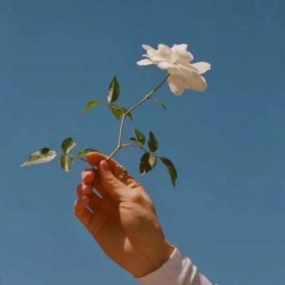 全民LOL客户端下载
